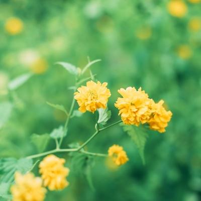 王者飞车app下载